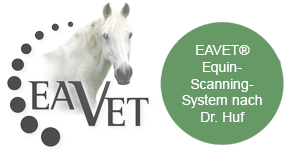 Eavet